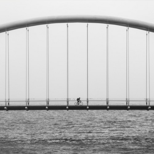 Cycle Bridge